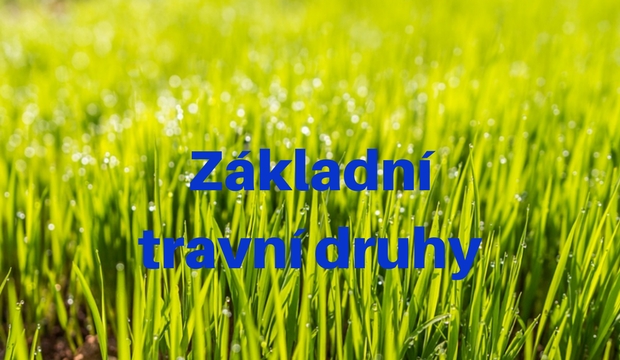 Základní travní druhy